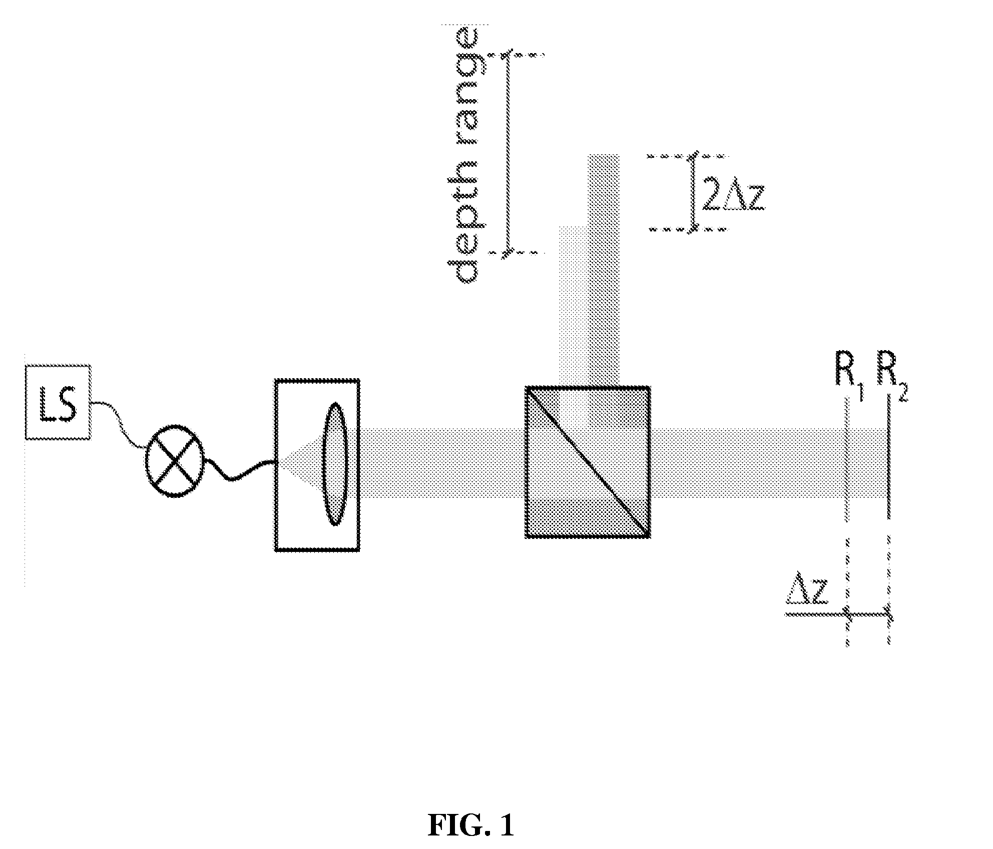 Dual beam heterodyne fourier domain optical coherence tomography