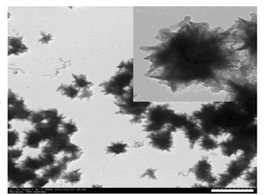 Method for preparing medicament-nanometer calcium phosphate composite system taking fat soluble photosensitizer as framework and application of system in preparation of medicaments for photodynamic therapy