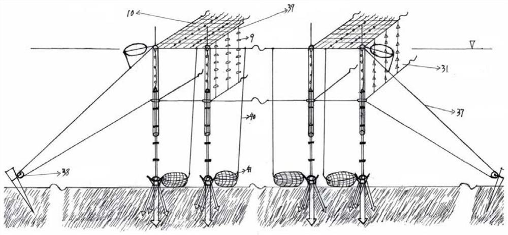 Offshore deepwater intertidal zone type multi-nutrient-layer aquaculture net field and aquaculture method