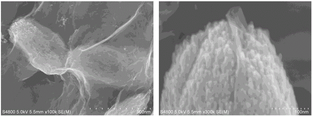 Silkworm-chrysalis-shaped PbS quantum dot/graphene composite material and preparation method thereof