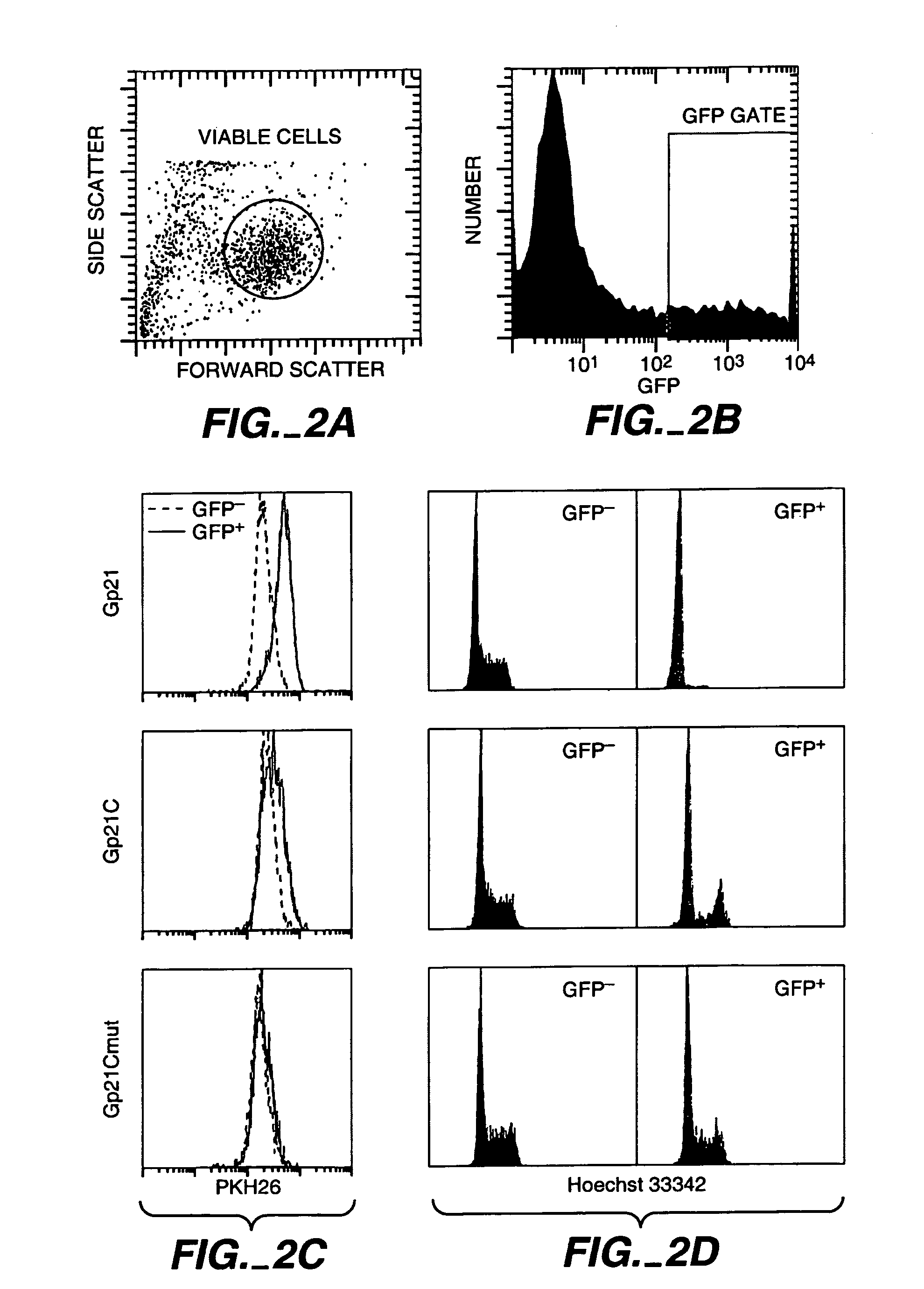 Multiparameter FACS assays to detect alterations in cellular parameters and to screen small molecule libraries