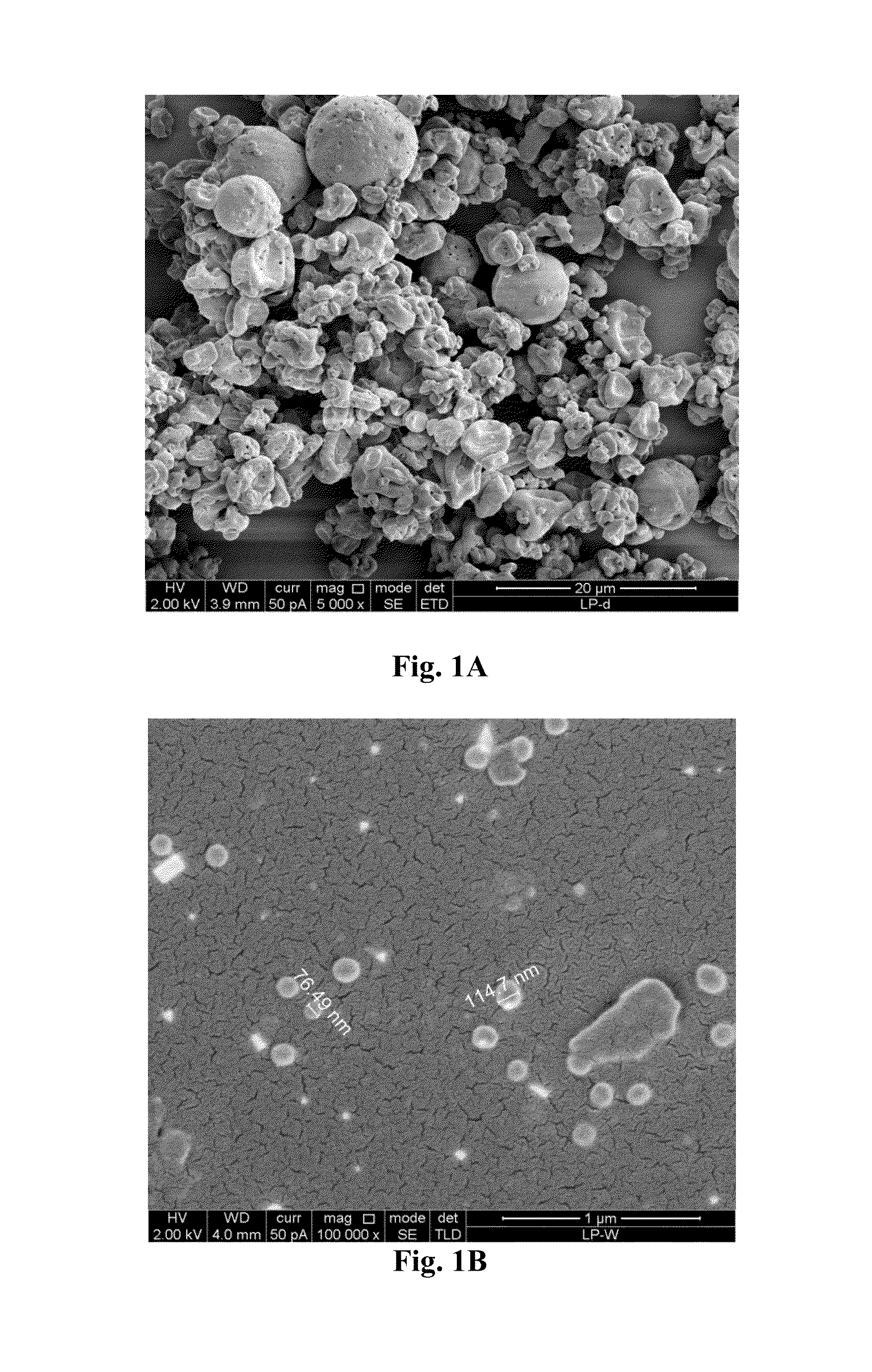 Micro-particulated nanocapsules containing lopinavir with enhanced oral bioavailability and efficacy