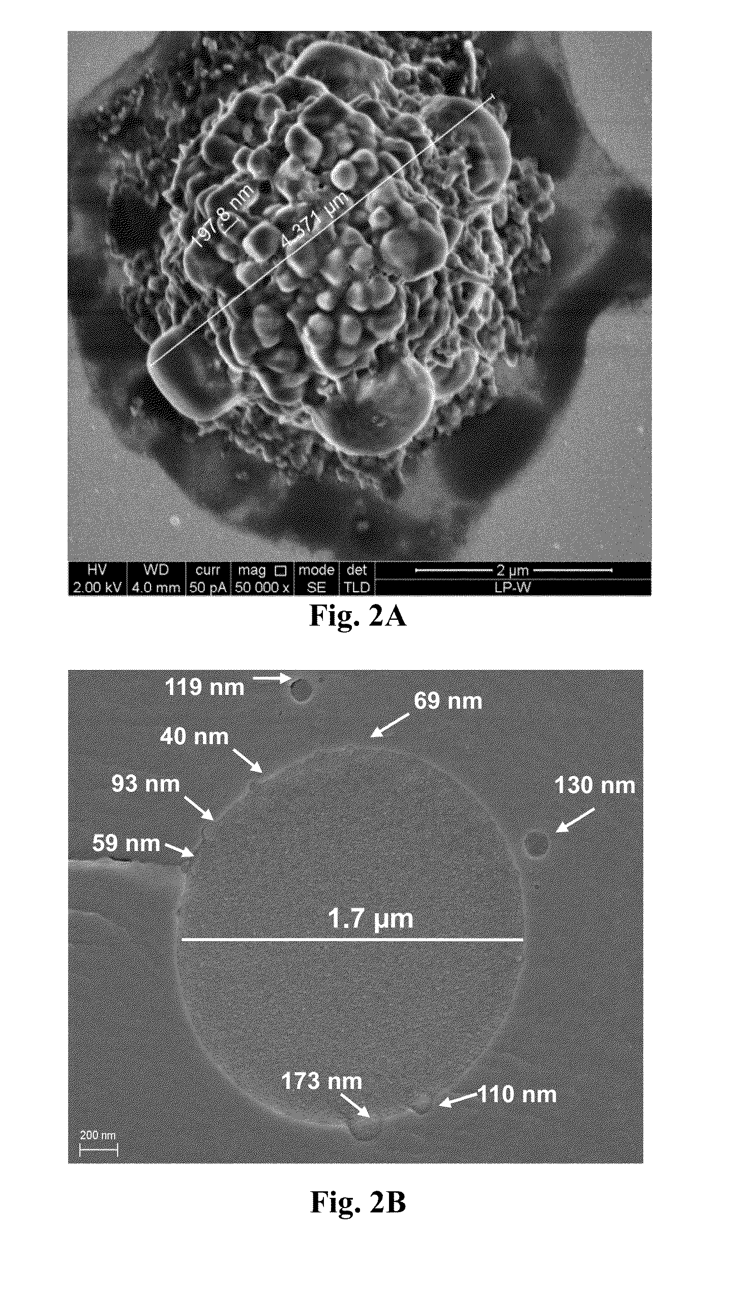 Micro-particulated nanocapsules containing lopinavir with enhanced oral bioavailability and efficacy