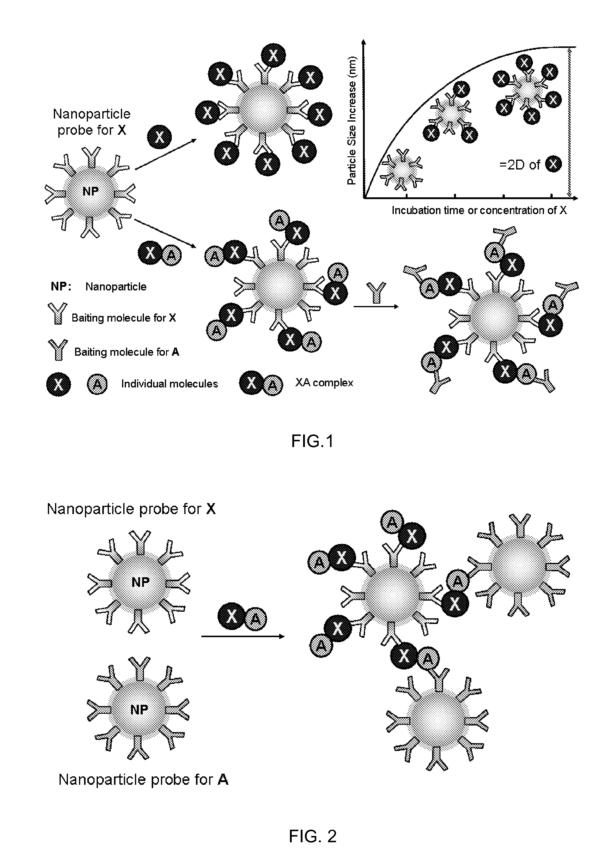 Methods for biomolecule and biomolecule complex (BMC) detection and analysis and the use of such for research and medical diagnosis