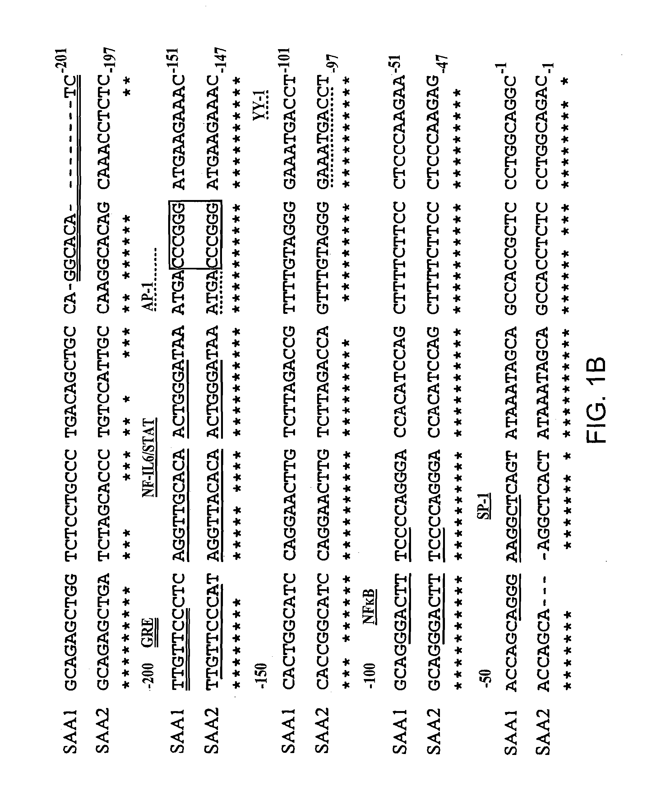 Methods for determining drug responsiveness