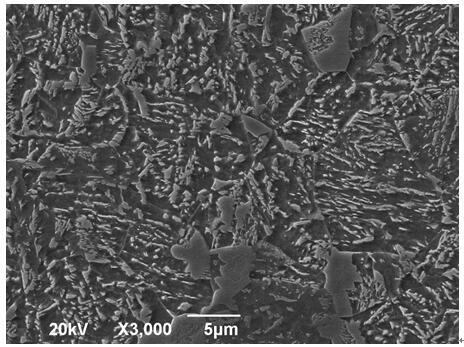 Production method of bainite cold forging steel wire rod