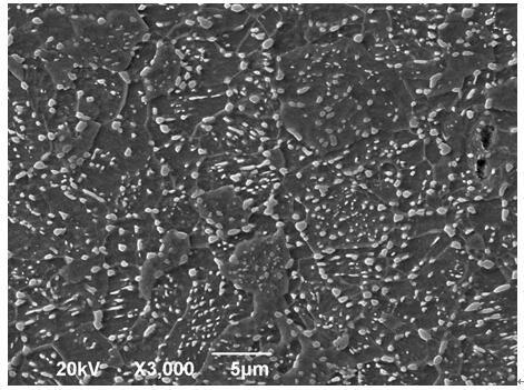 Production method of bainite cold forging steel wire rod