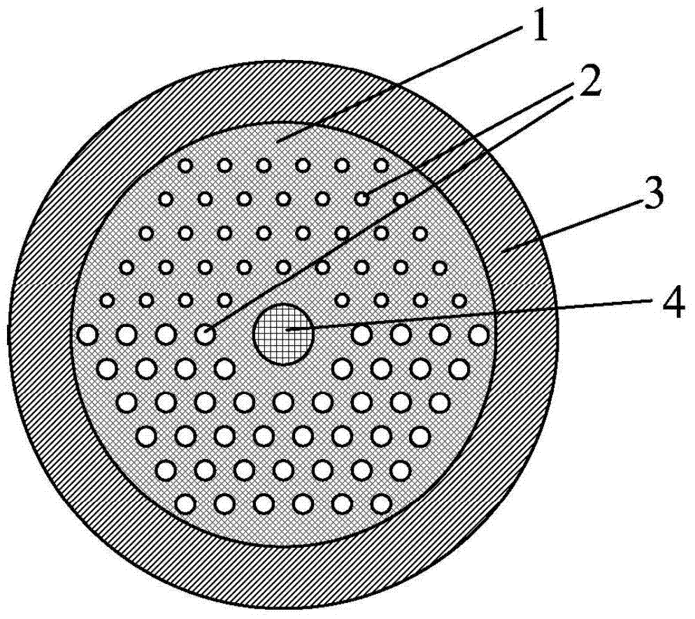 Mode filtering fiber