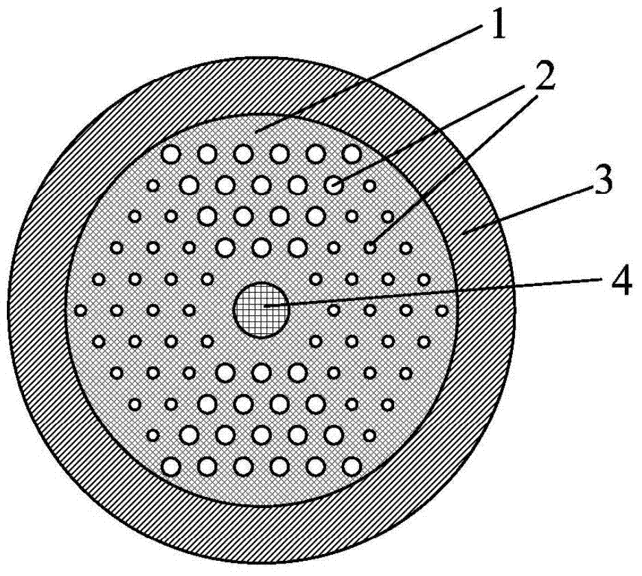 Mode filtering fiber