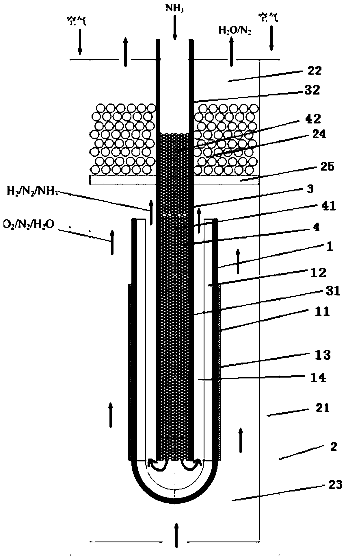 Solid oxide ammonia fuel cell