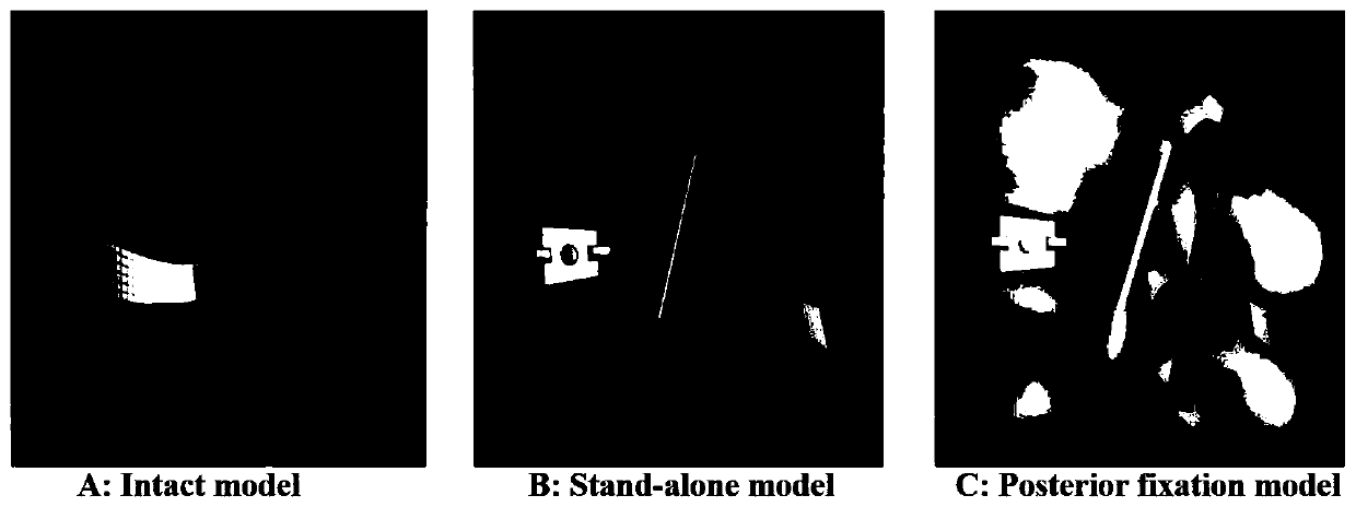 Novel bionic 3D printing bioactive fusion cage and preparation method thereof