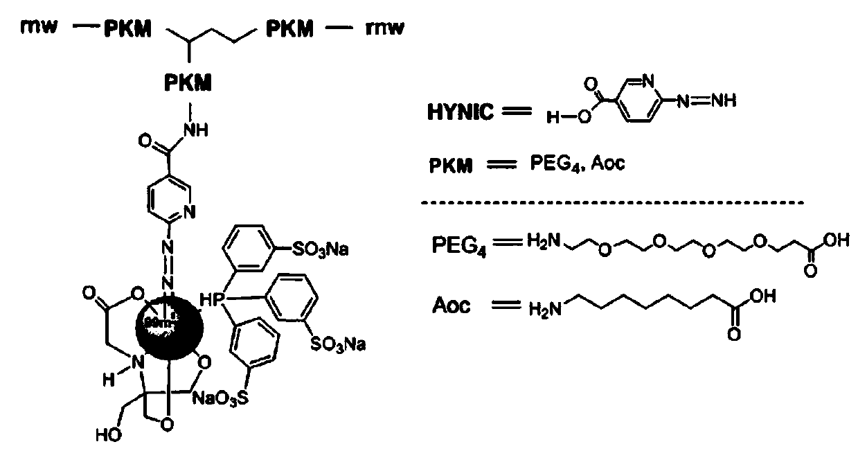 Rk polypeptide radiopharmaceutical targeting HER2 and preparation method thereof