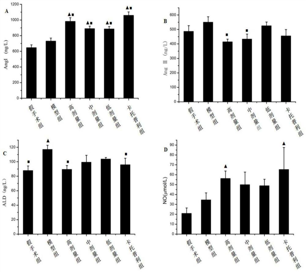 Application of total flavonoids of caragana sinica maxim in preparation of medicine for treating renal hypertension