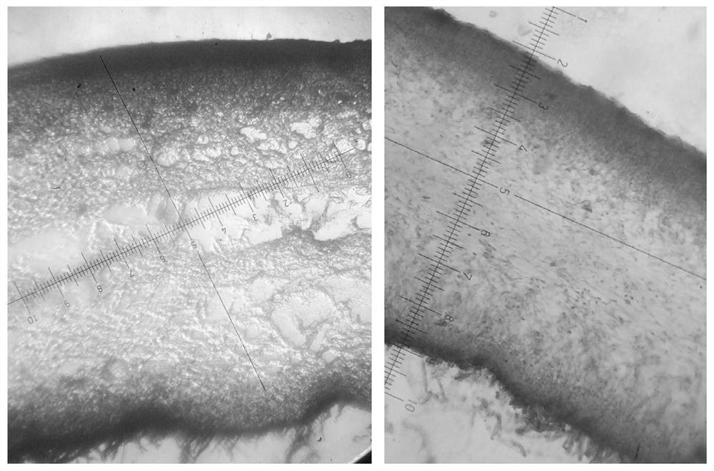 Brittleness-keeping method for physically treating black fungus and black fungus sauce processing technology