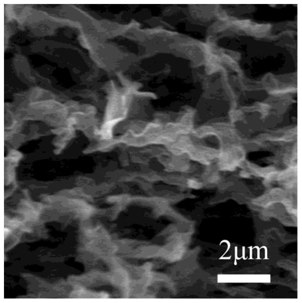 A kind of method for preparing two-dimensional montmorillonite/cellulose composite filter membrane