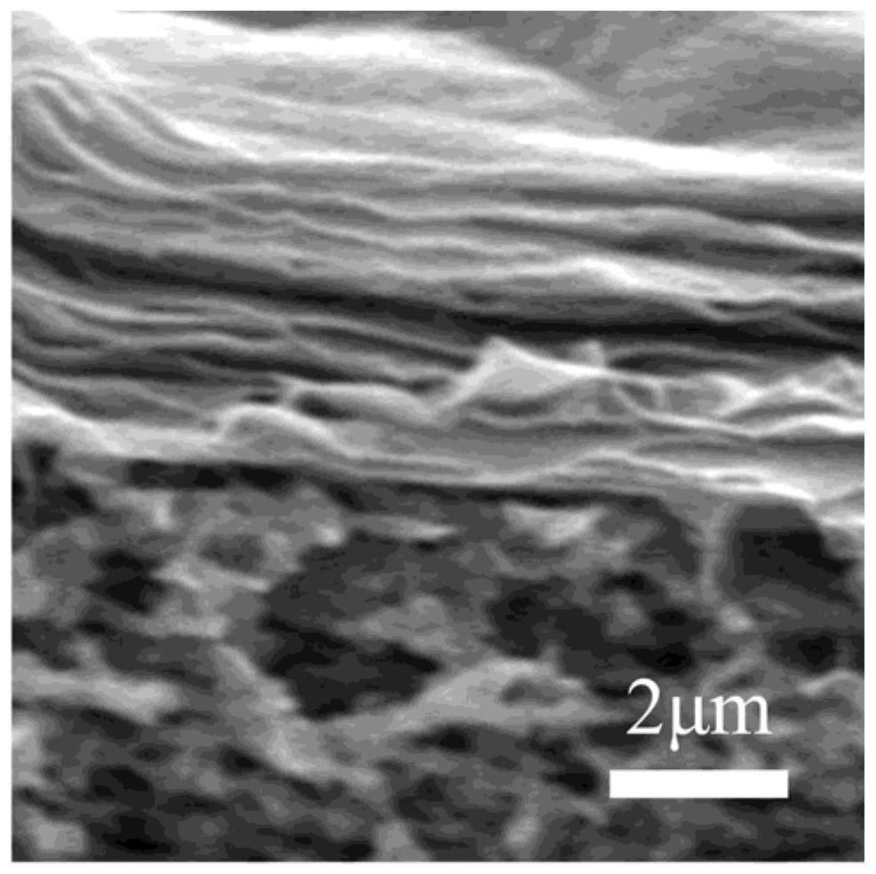 A kind of method for preparing two-dimensional montmorillonite/cellulose composite filter membrane