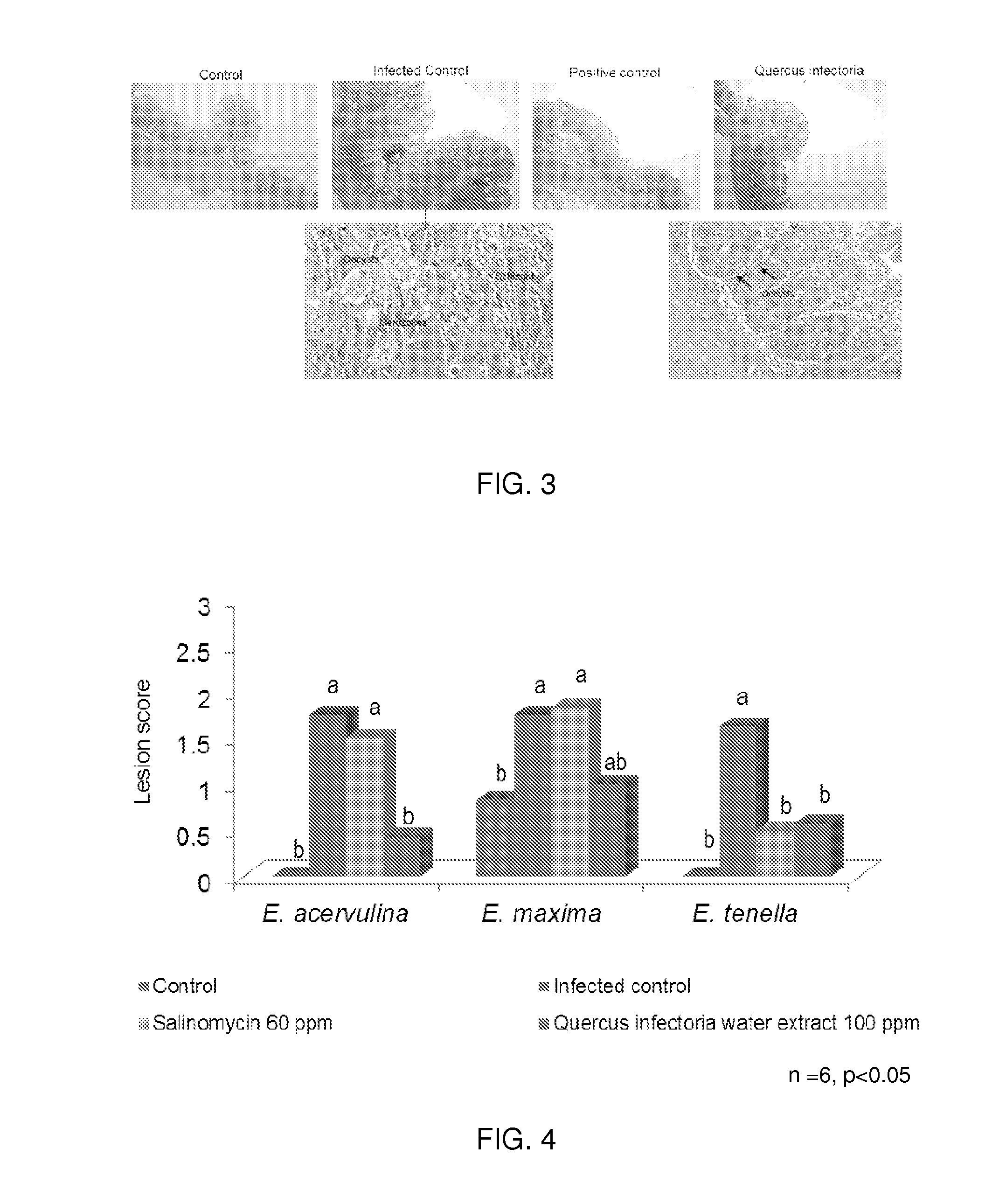 Plant Parts and Extracts Having Anticoccidial Activity