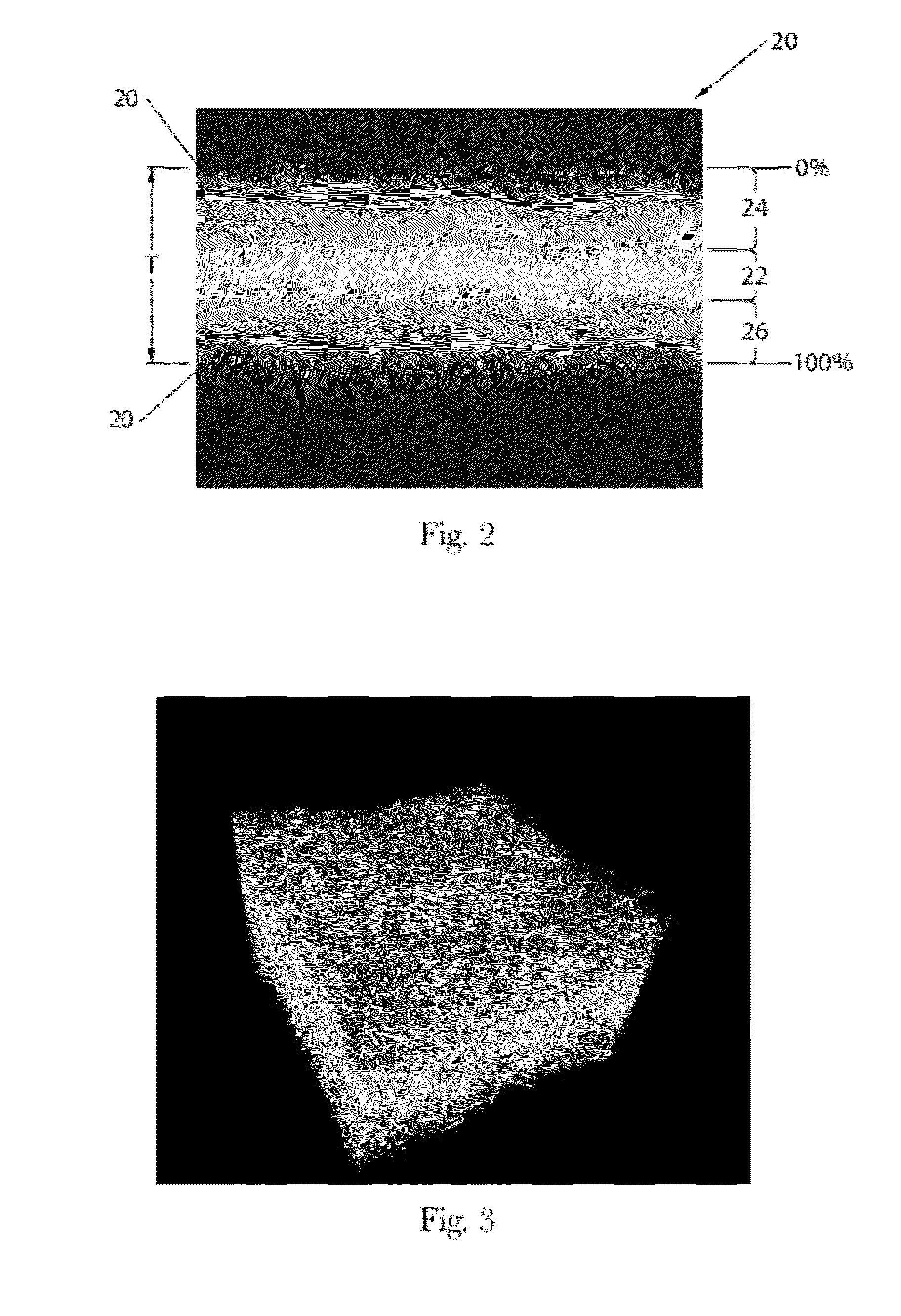 Absorbent Members Having Skewed Density Profile