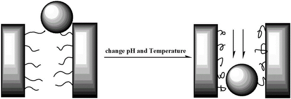 A polysulfone porous membrane responsive to temperature and acidity and its preparation method and application