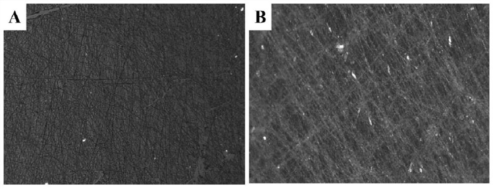 Liquid crystal state composite fiber membrane as well as preparation and application thereof