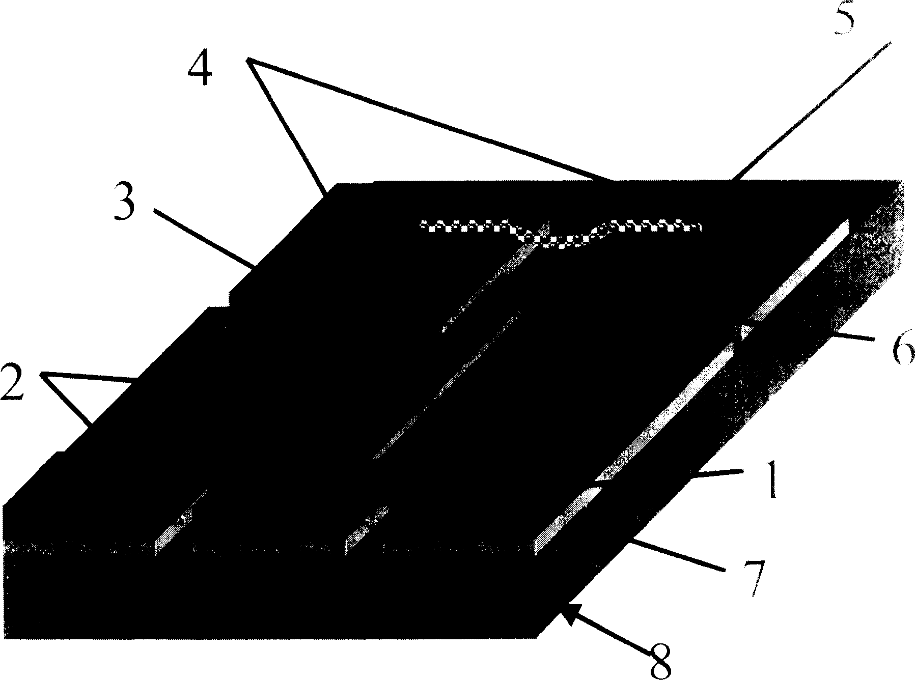 Single electron memory having carbon nano tube structure and process for making it