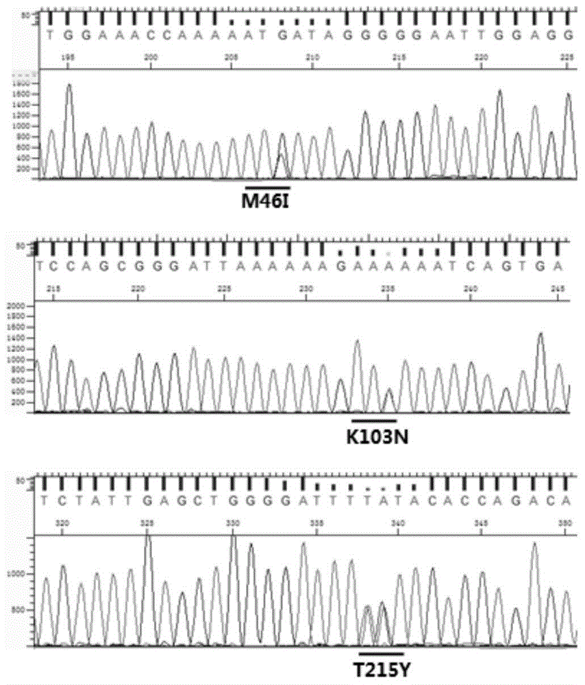 HIV-1 genotype and drug resistant mutation site detection kit and application thereof