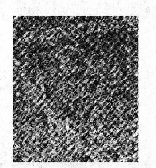 Measurement method of three-dimensional speckle strain measurement device