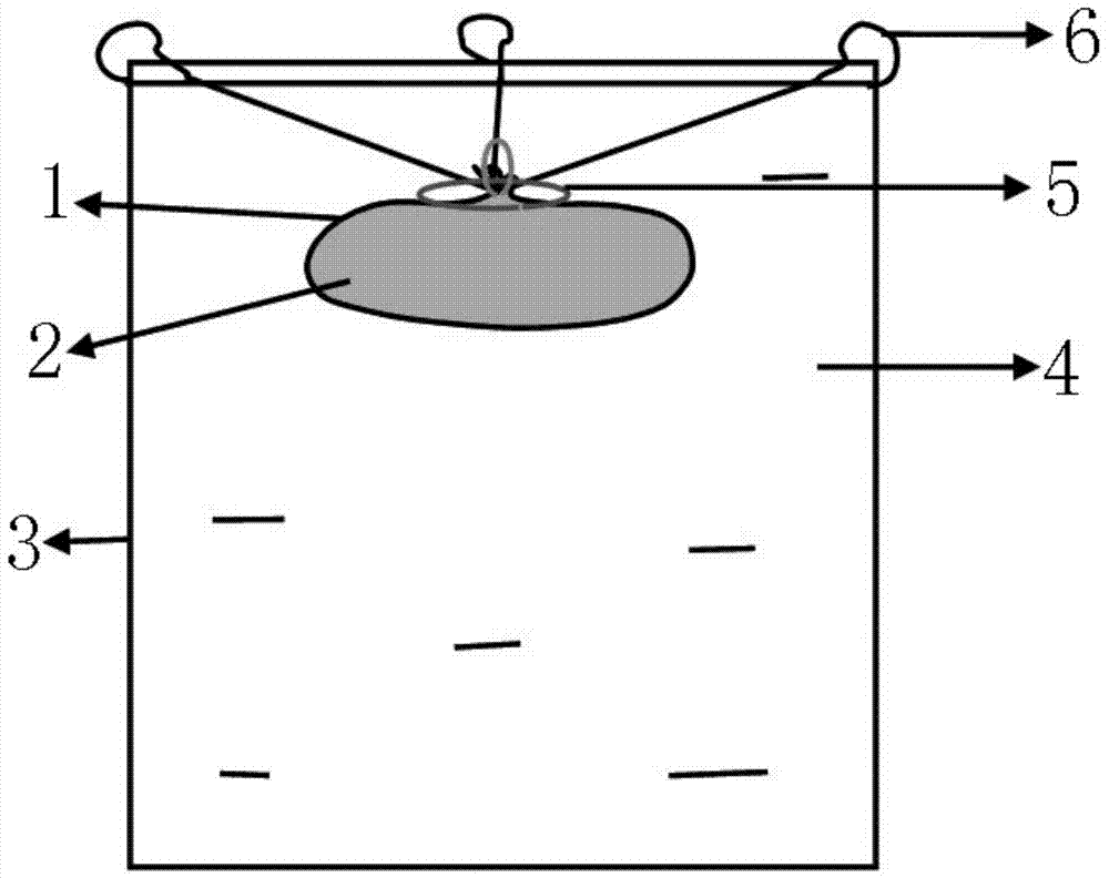 Technical triazophos floating stabilizing bag taking silicon gel as adsorbent