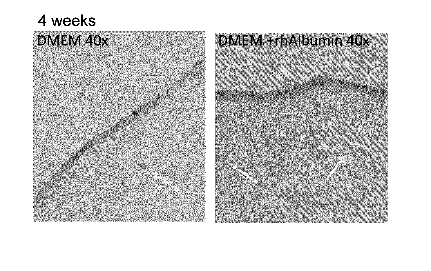 Method and Composition for Hypothermic Storage of Placental Tissue