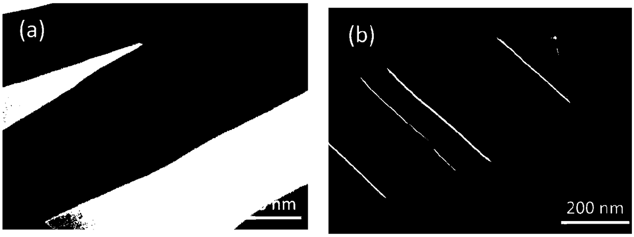 Preparation method of poly(N-isopropyl acrylamide)/graphene composite materials with photo-thermal responsiveness