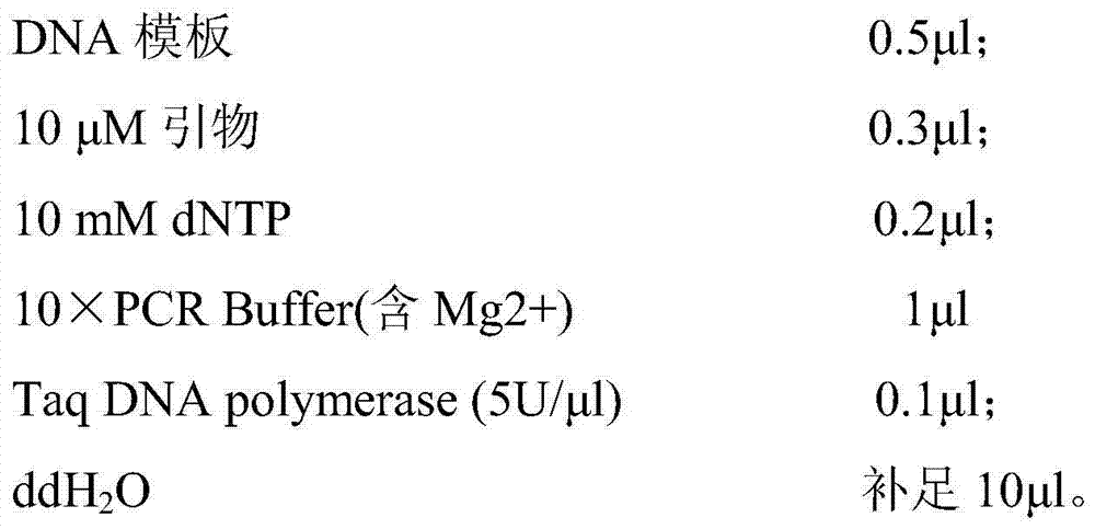 Molecular marker of rice brown planthopper major gene qBph30(t) and application thereof