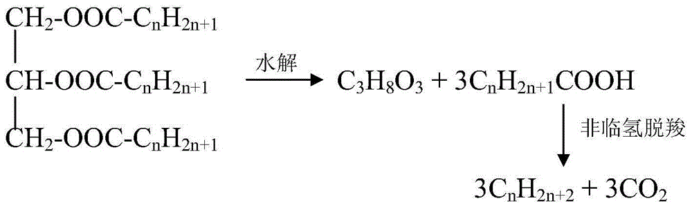 Method for using non-noble metal catalyst to catalyze decarboxylation of saturated fatty acid to prepare long-chain alkane