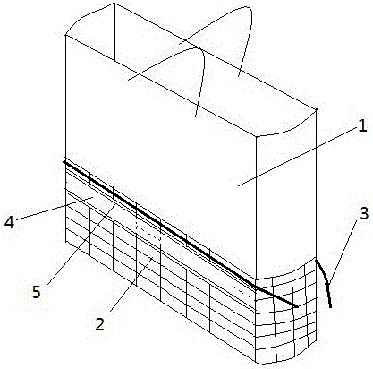 Reticule as waterproof shoe cover