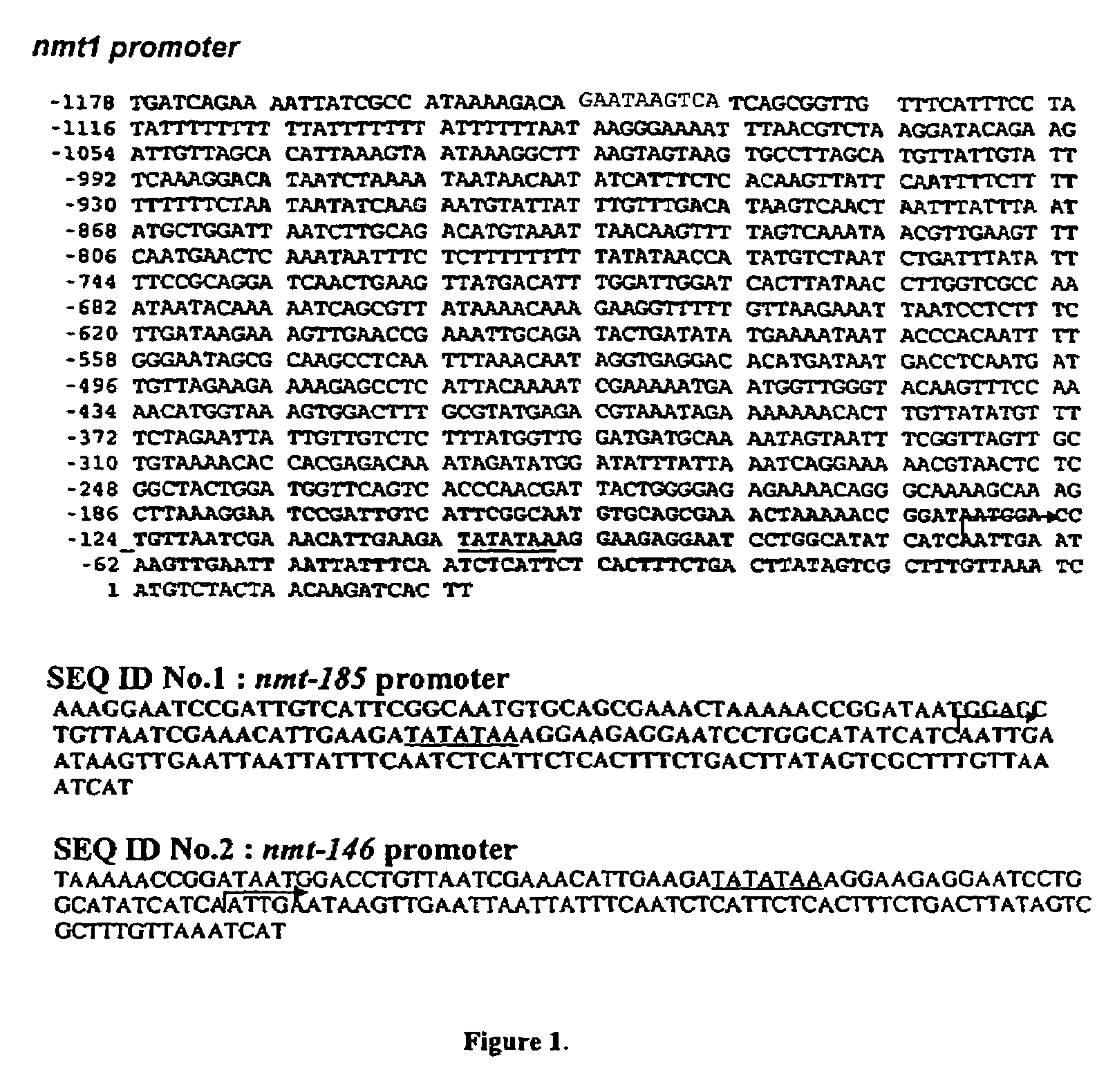 Temperature regulated promoters from Schizosaccharomyces pombe for expression of proteins