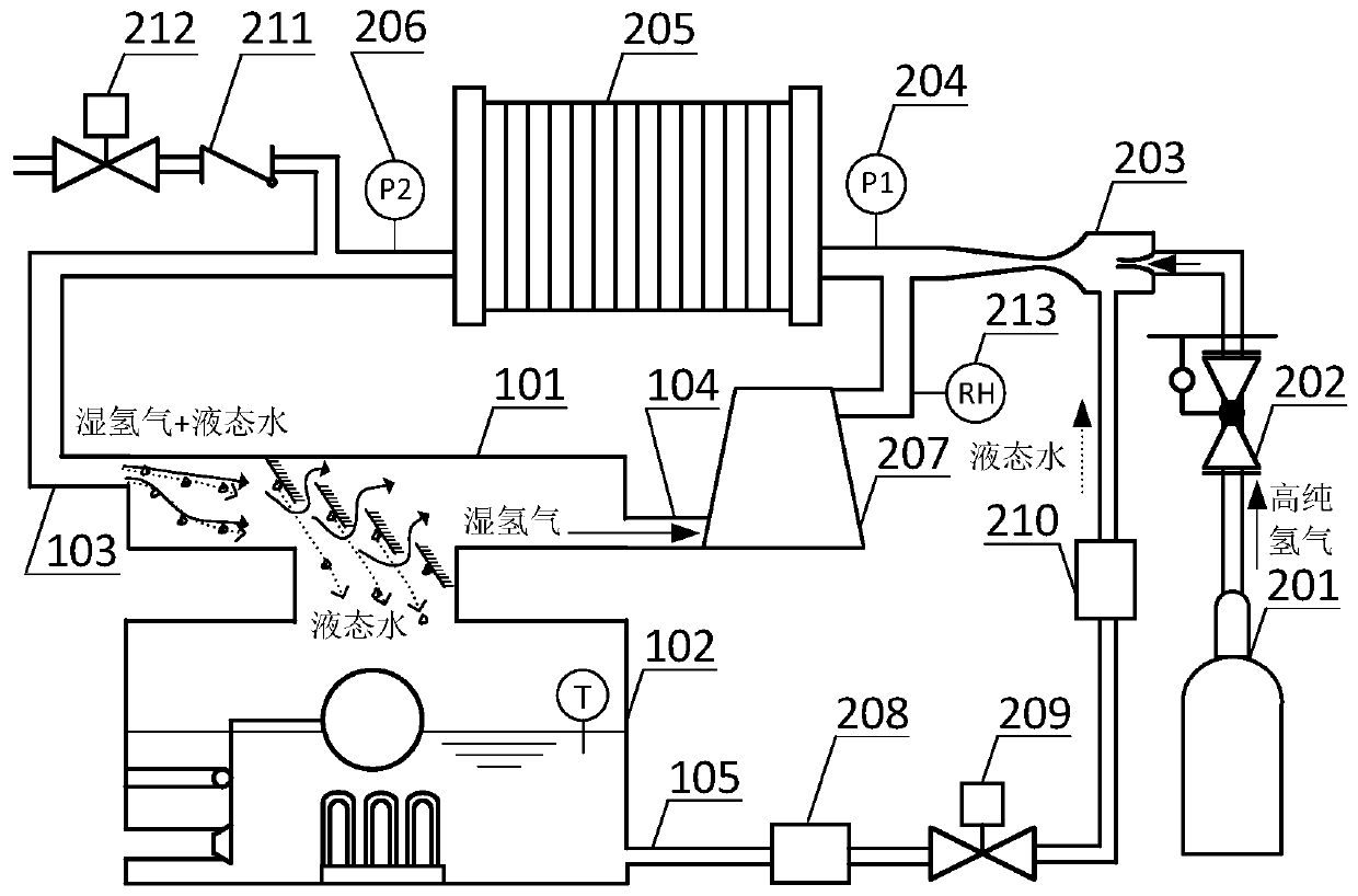 Fuel cell anode water management system and control method