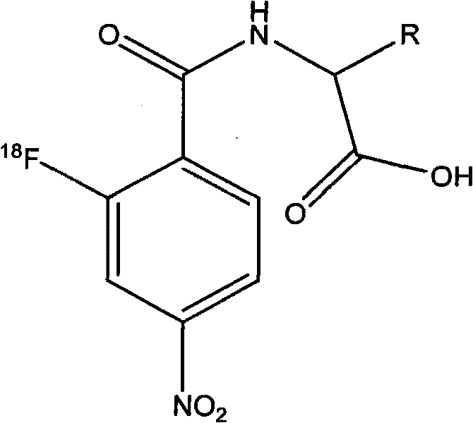 Novel 18F labeled p-nitro benzoyl amino acid compound and preparation method and application thereof