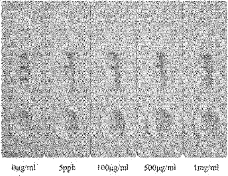 Sildenafil monoclonal antibody and colloidal gold chromatography test strip used for detecting sildenafil