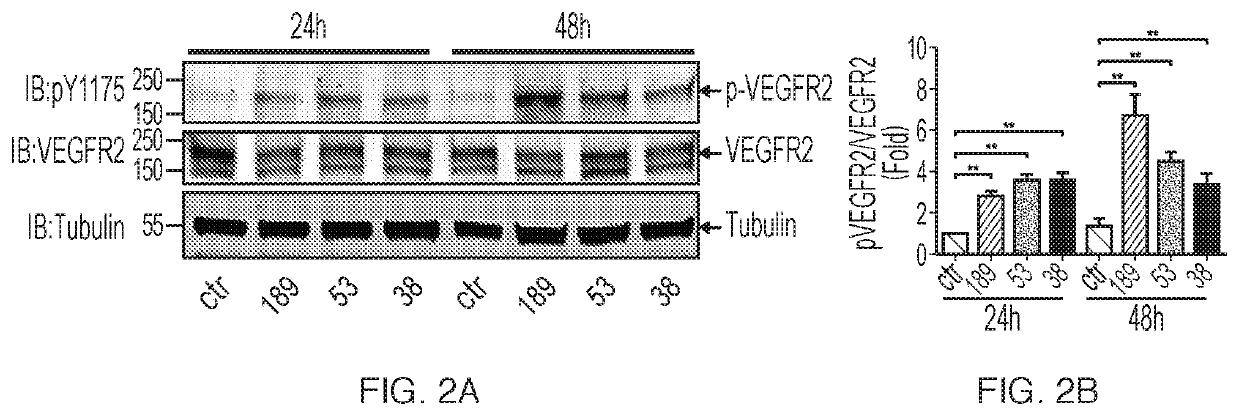 Engineered VEGF variants for retinal neuroprotection, promotion of axon growth and axon regeneration