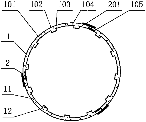 Protective rib template for cast-in-place reinforced concrete beam column