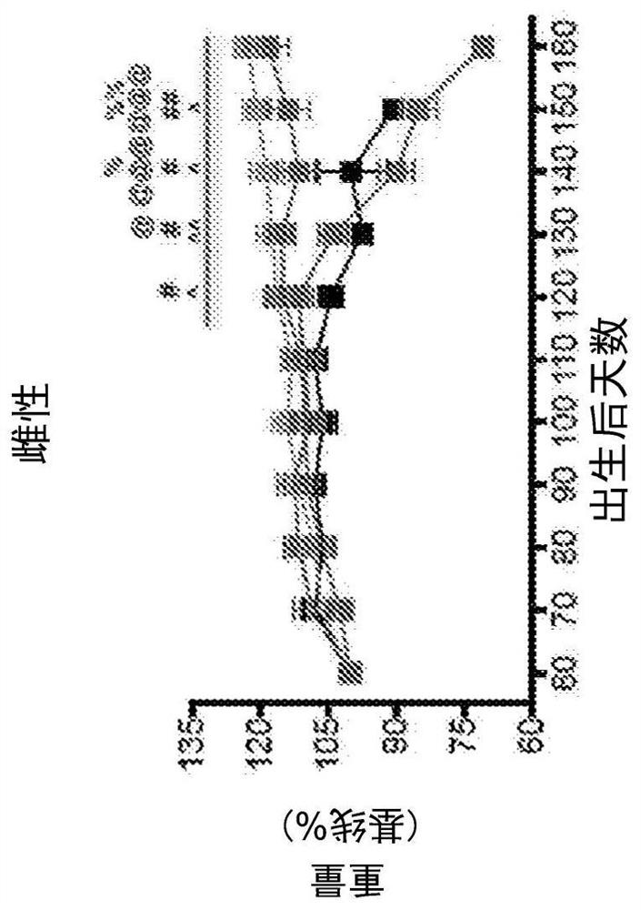 Combination therapies for the treatment of amyotropic lateral sclerosis and related disorders