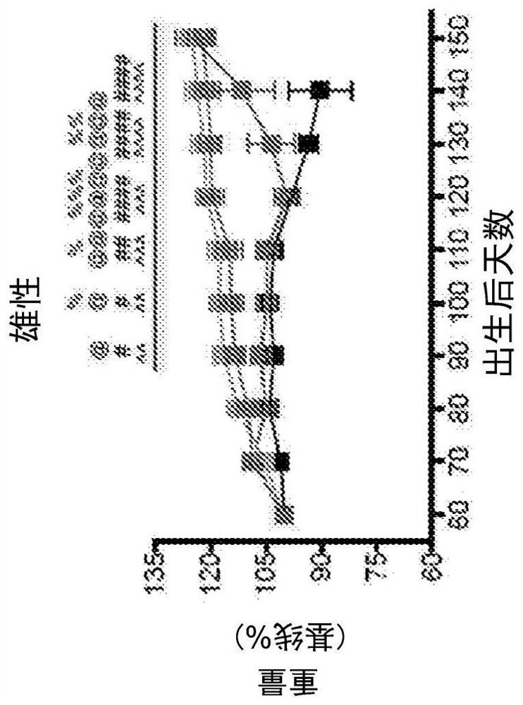 Combination therapies for the treatment of amyotropic lateral sclerosis and related disorders