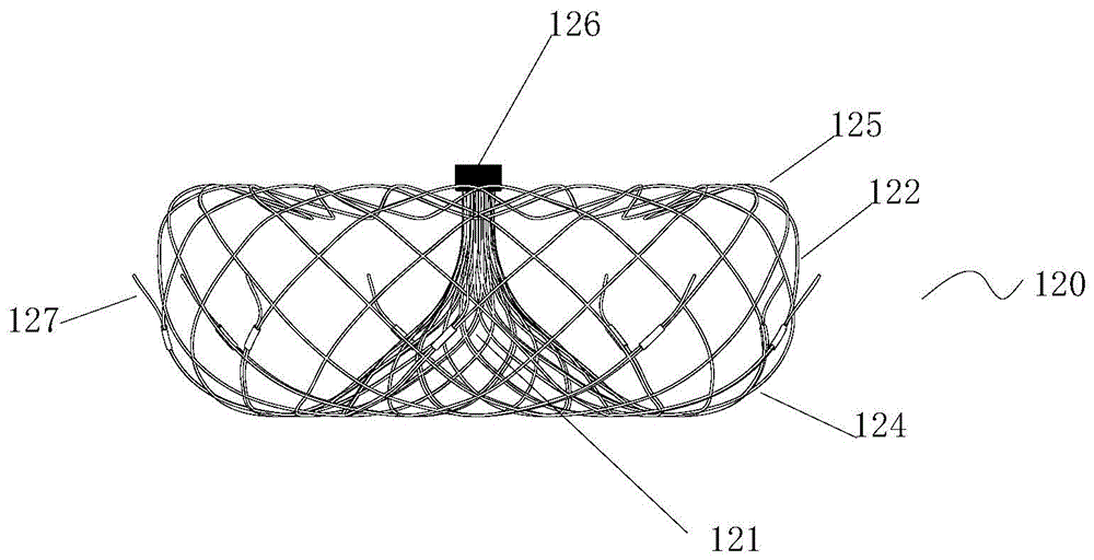 A left auricle occluding device