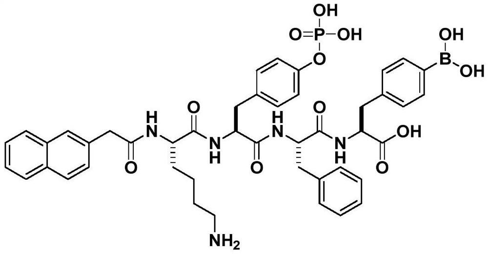 A boron-containing drug with tumor targeting ability and its preparation method and application