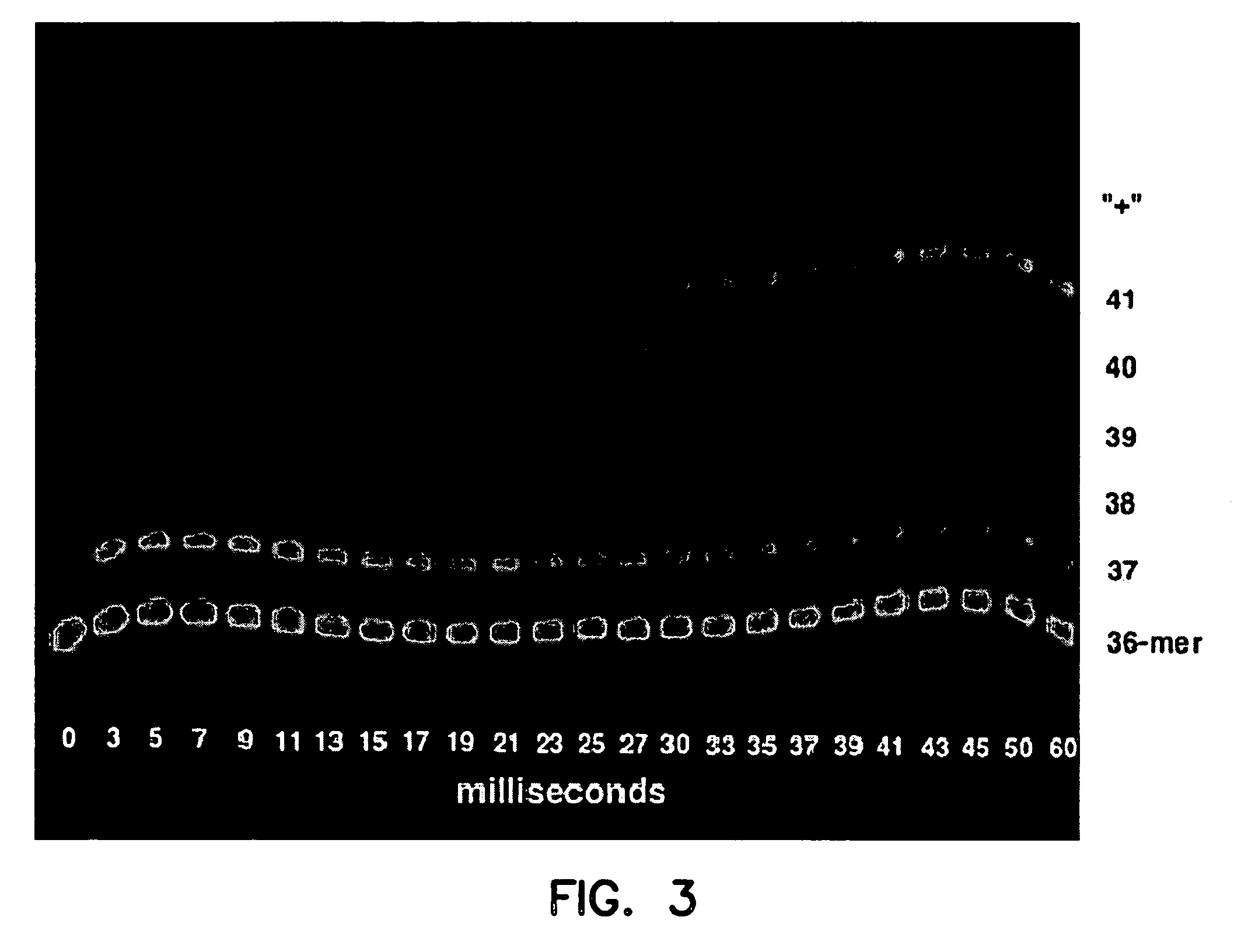 Mutant DNA polymerases and methods of use