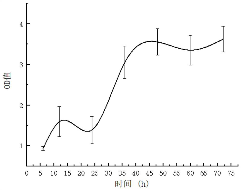 A nucleic acid aptamer h10 with targeted inhibition of Vibrio anguillarum and its application