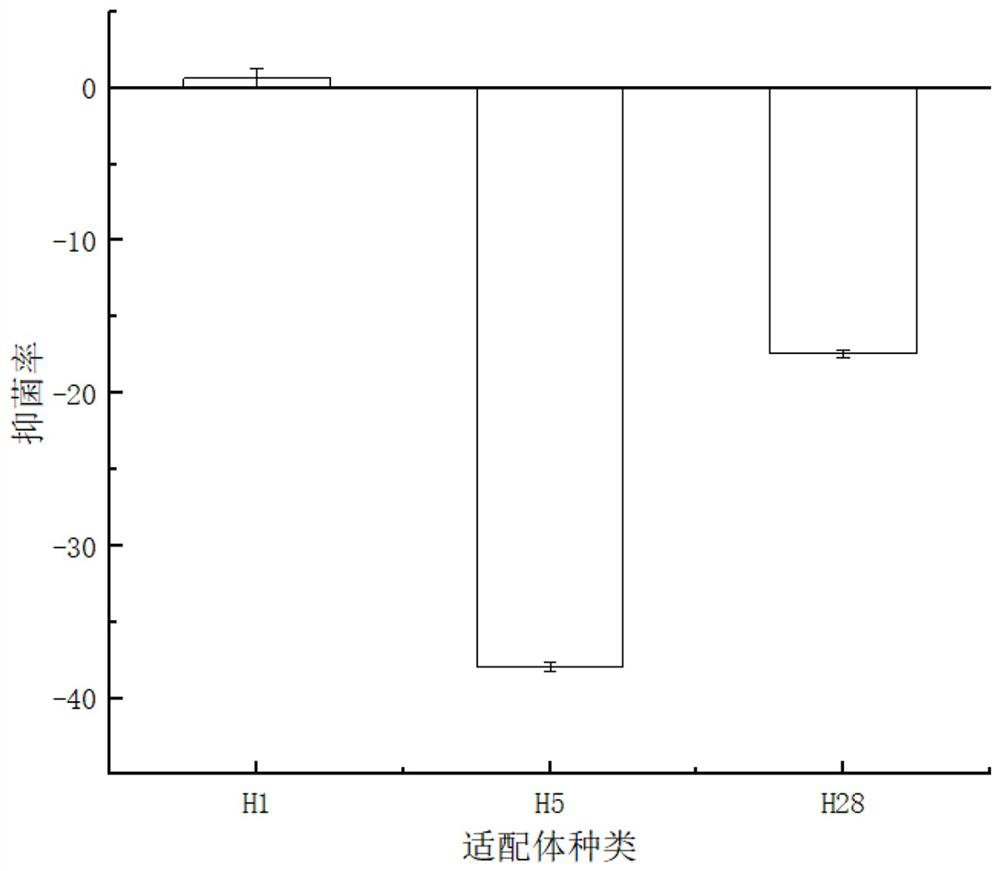 A nucleic acid aptamer h10 with targeted inhibition of Vibrio anguillarum and its application