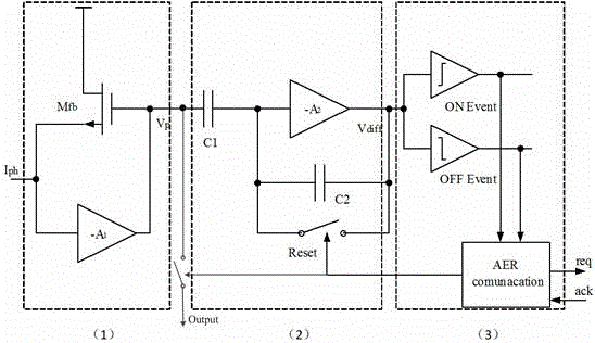 Acousto-optic real-time signal analyzer based on asynchronous detection