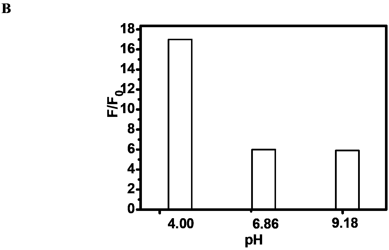 A Class of Fluorescent Compounds and Its Application in Detection of Ruthenium