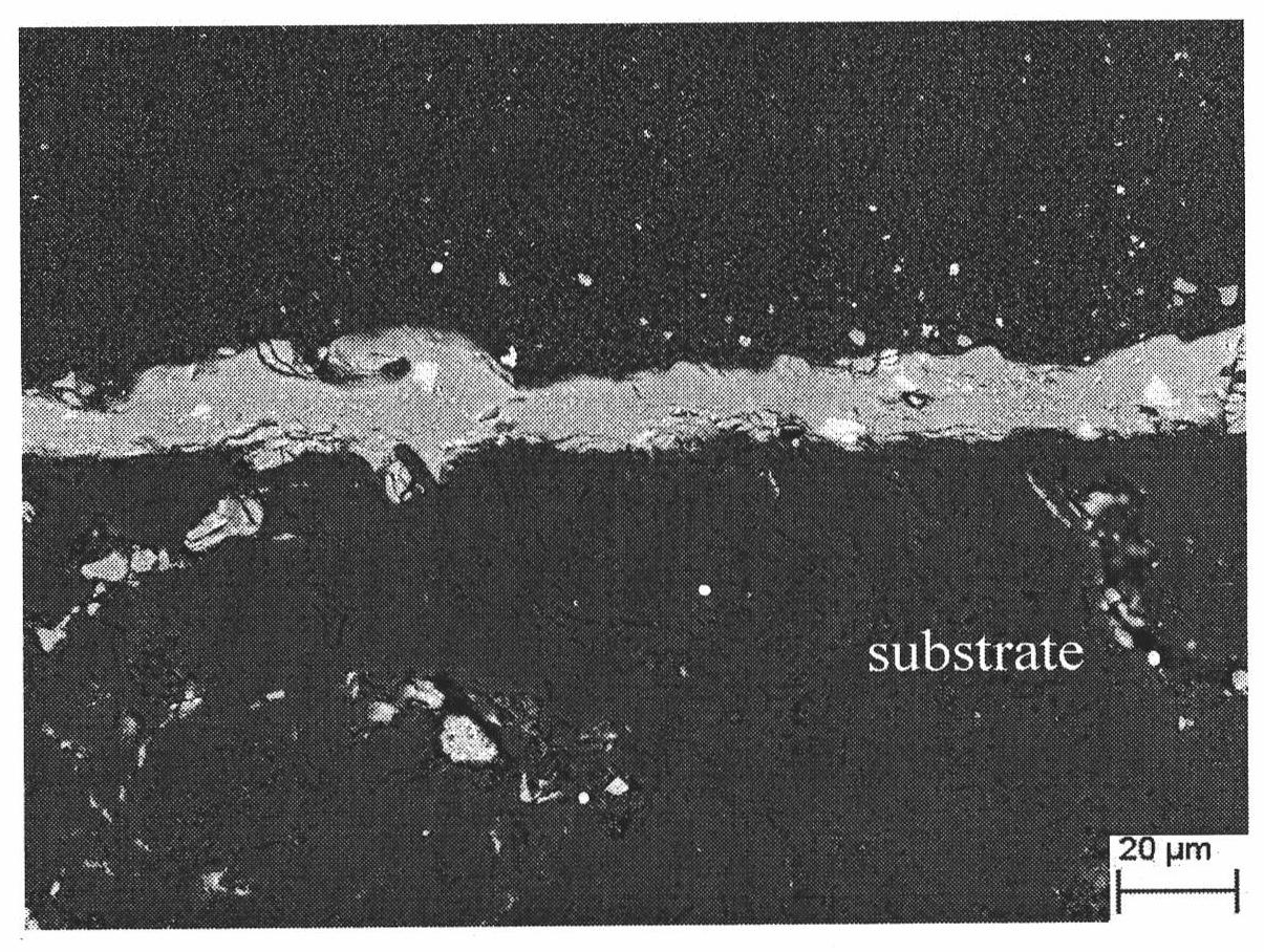 Microwave preparation method of anti-oxidation coating made of carbon-based material