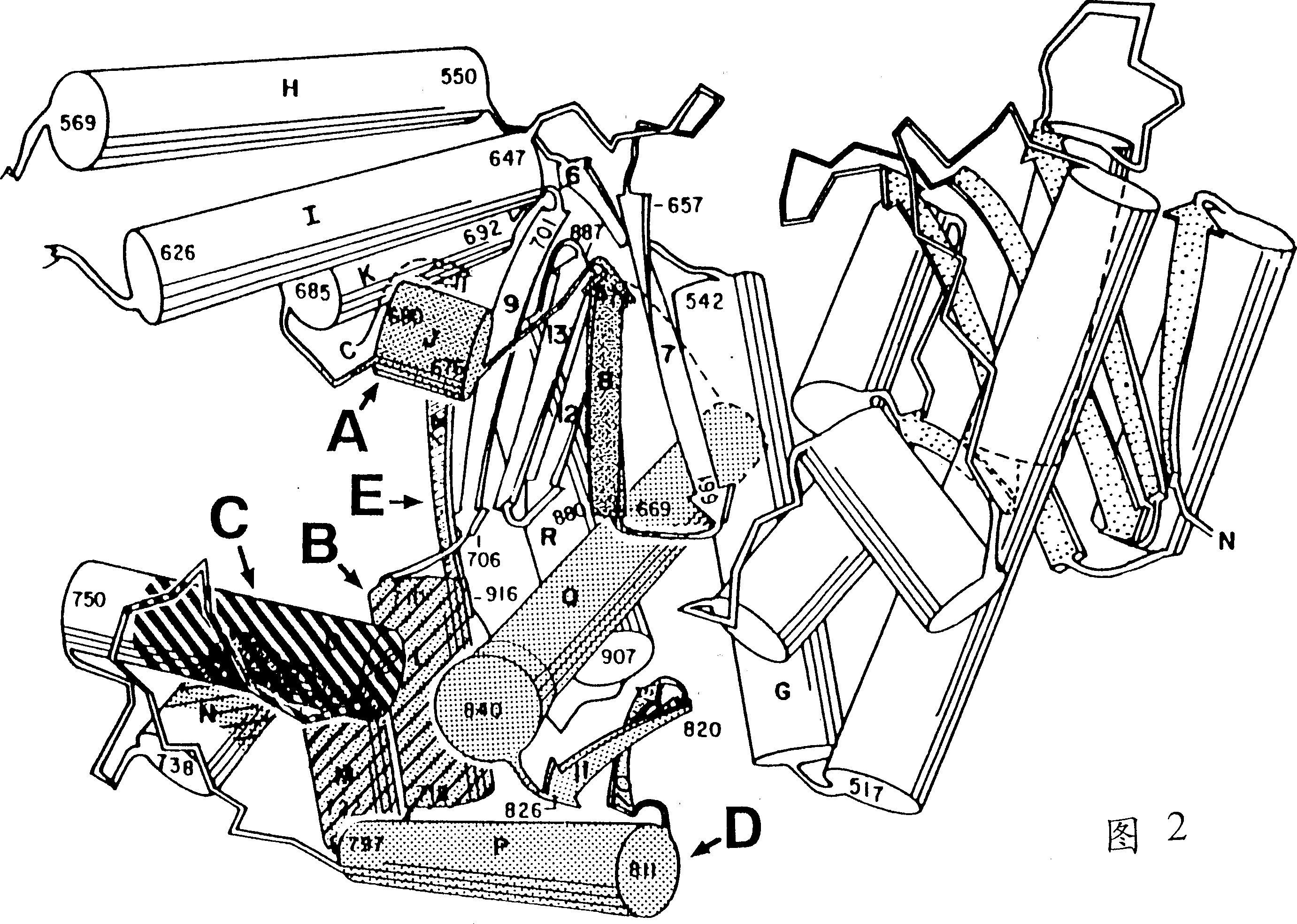 DNA polymerases having modified nucleotide binding site for DNA sequencing